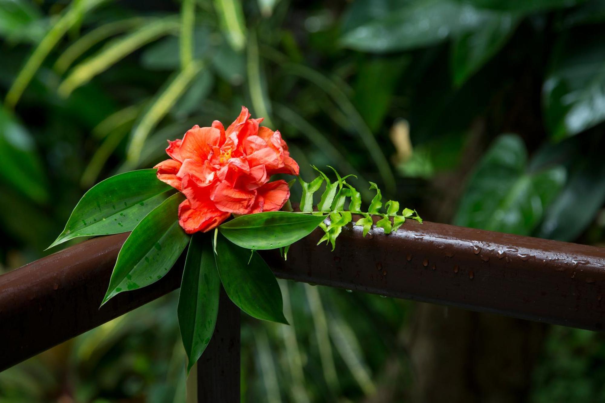 Mandala Spa & Resort Villas Manoc-Manoc エクステリア 写真